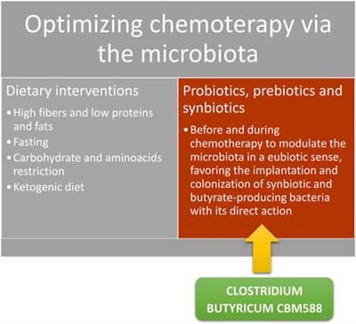 Influence of the microbiota on the effectiveness and toxicity of oncological therapies, with a focus on chemotherapy